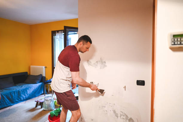 Best Professional Mold Removal  in Rock Creek, AL